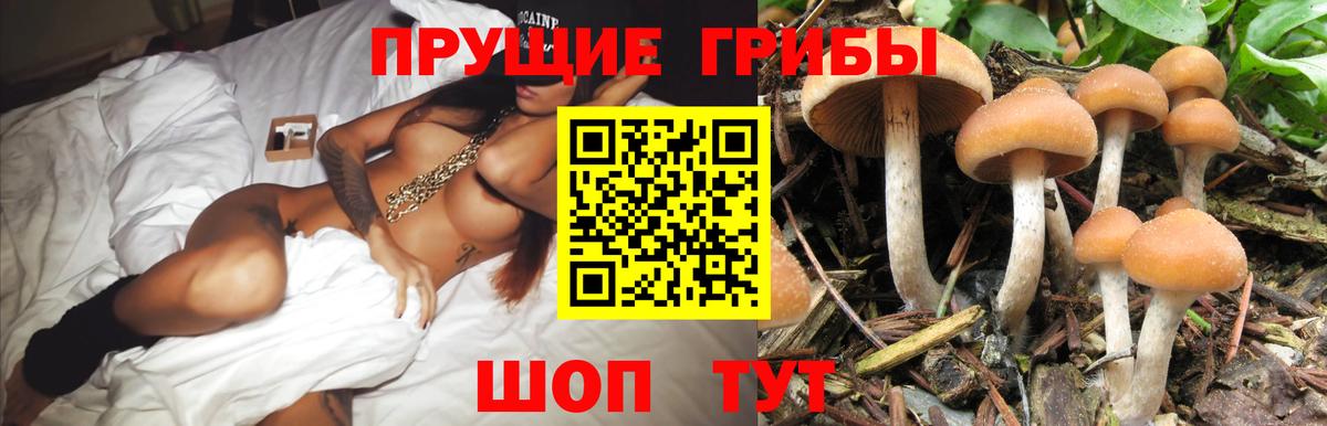 Старая Купавна  Галлюциногенные грибы Psilocybe  Вход с VPN 