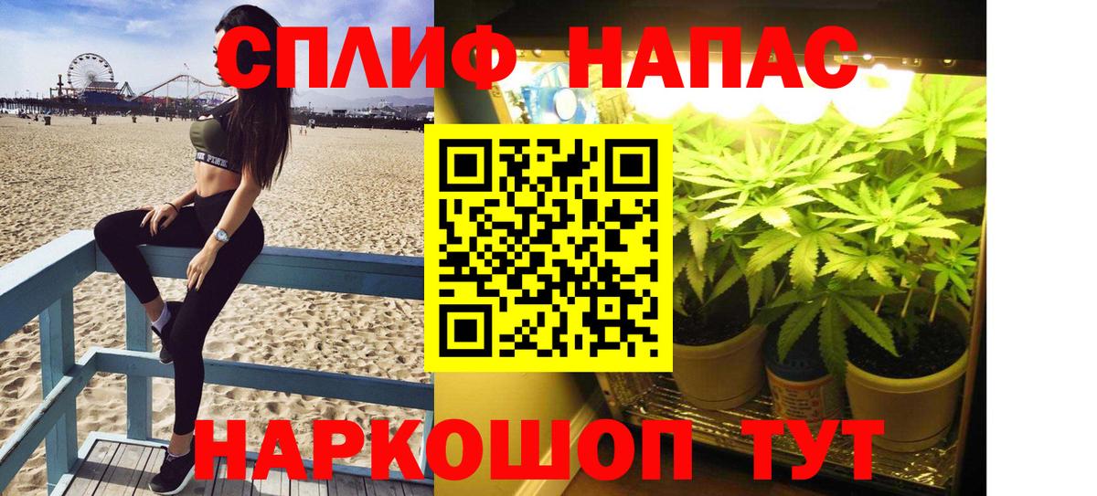 Бошки Шишки SATIVA & INDICA  Вход с VPN  Старая Купавна  Канабис Ganja  Канабис MAZAR 